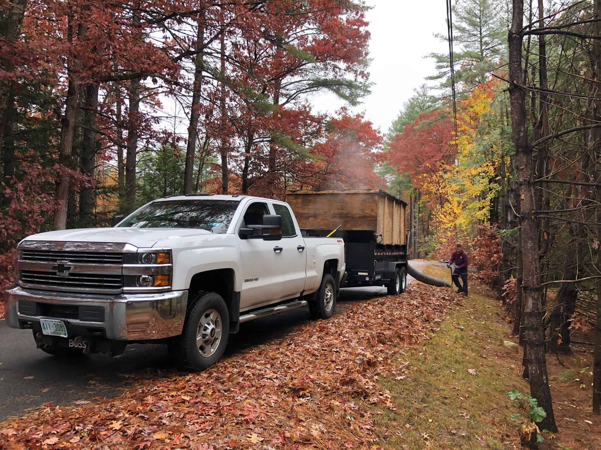 Spring & Fall Cleanup image