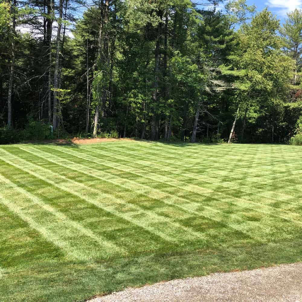 Lawn Mowing image