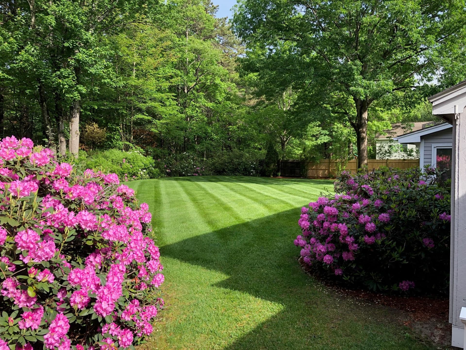 Pristine Lawn Mowing Transformations in New Hampshire