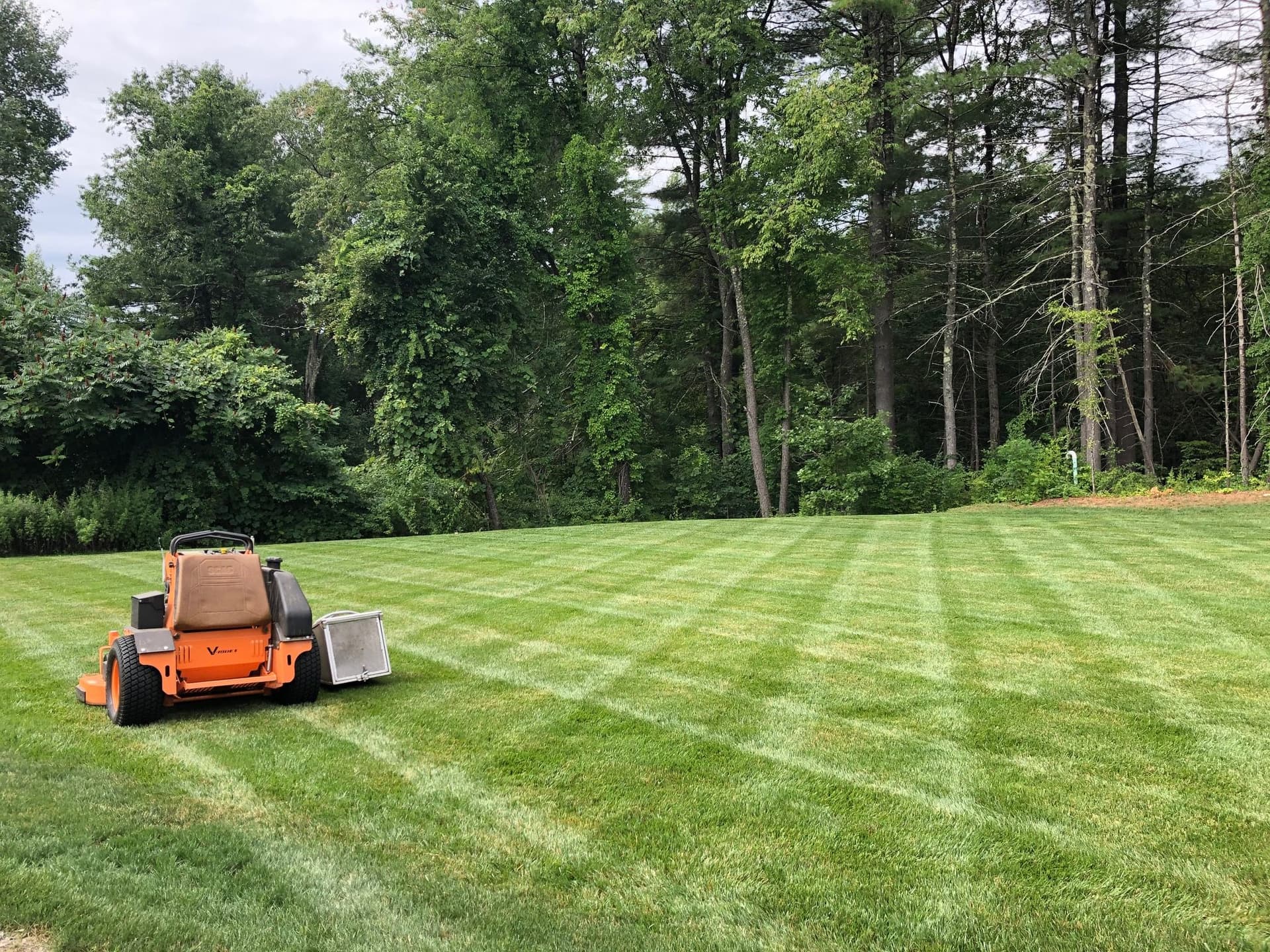 Pristine Lawn Mowing Transformations in New Hampshire
