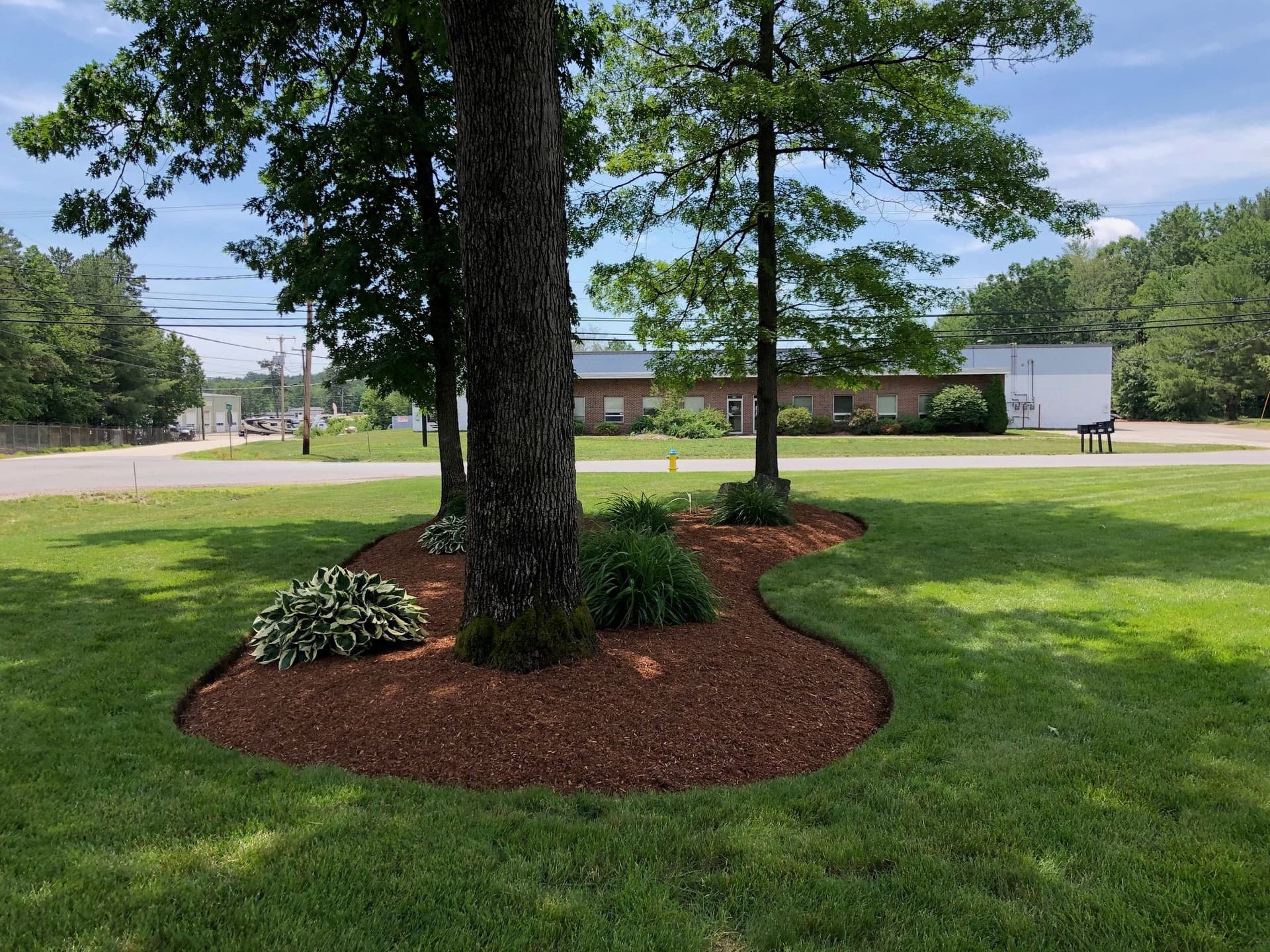 Expert Landscaping Transformation in New Hampshire