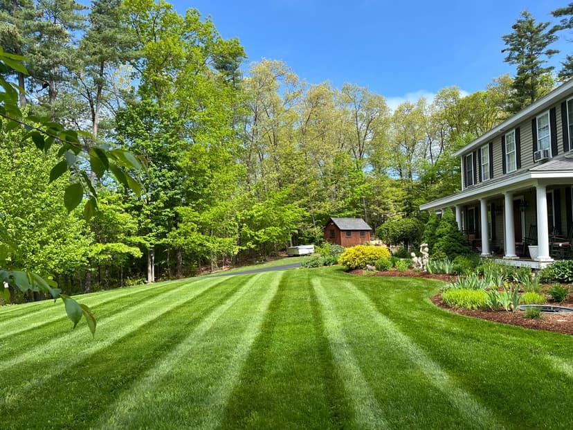Sustainable Practices Pioneer's image
